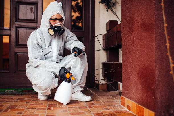 Reliable Wasp Removal contractor in Burlington, KS by Show Me Pest Control