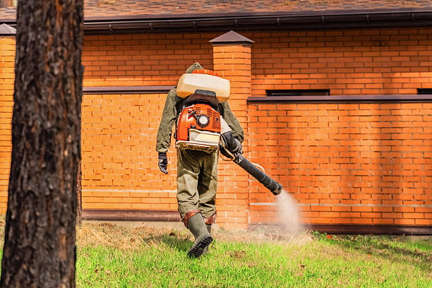 Top rated local Wasp Removal specialists in Burlington, KS
